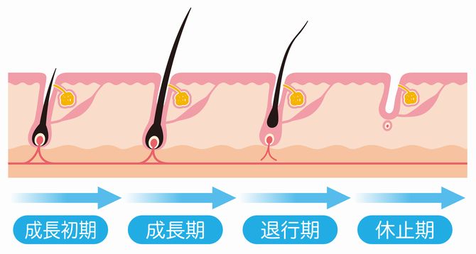 世紀の大発明！？最新成分〇〇を配合した育毛剤が凄すぎる！その効果とは？